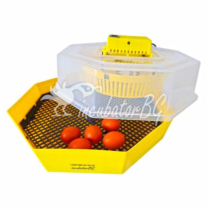 ЗАВОДСКИ ЦЕНИ! Инкубатор Клео 5 ! ВНОСИТЕЛ №1 на инкубатори за Бг