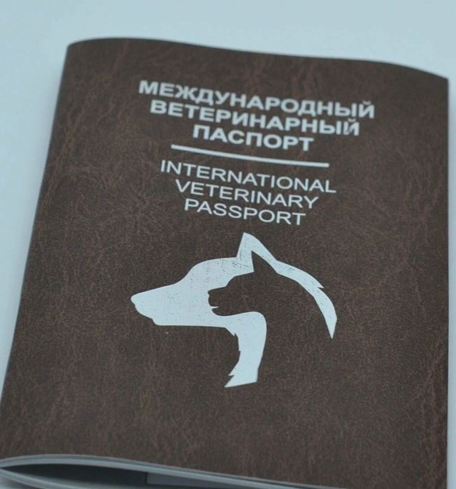 Тайсон  собака Тайсон