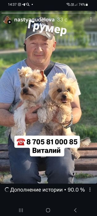 Грумер.  Стрижка животных.