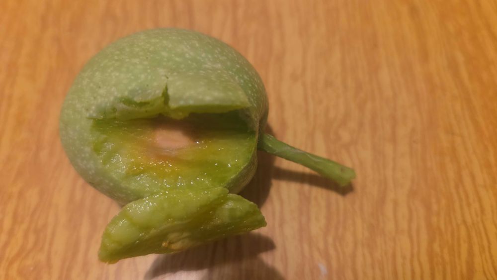 Зеленый грецкий орех