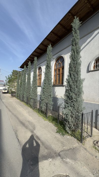 Keparis archa italiyadan keltirilgan