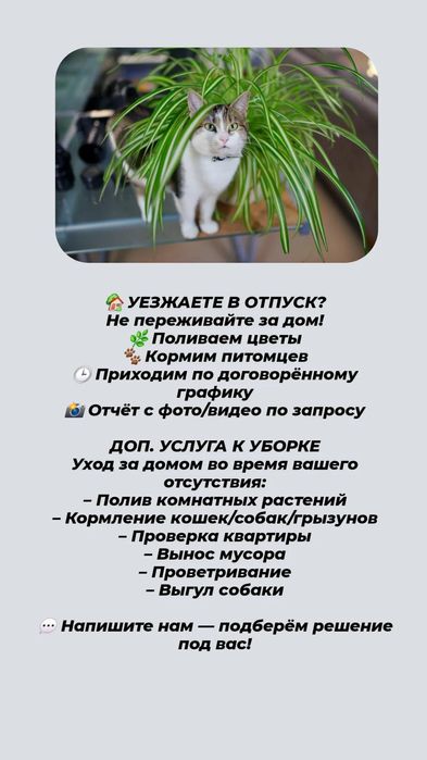 Павлодар Уборка Клининг после квартирантов