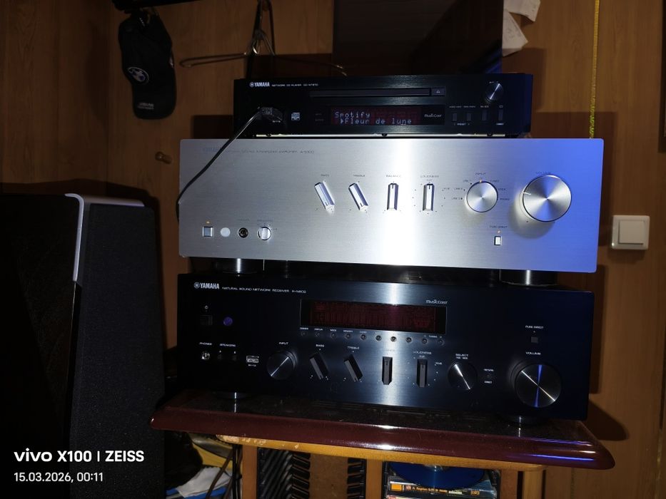 Yamaha as 300.silver