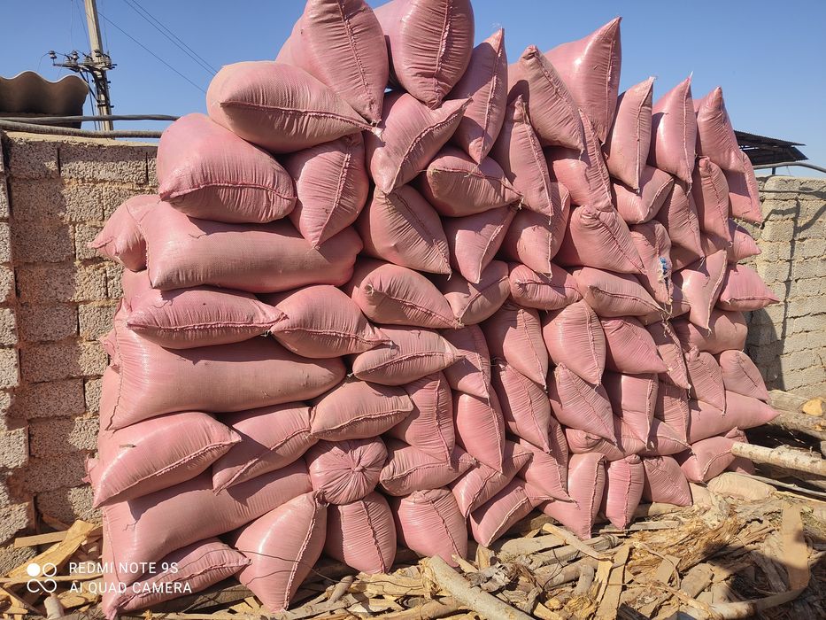 Apilka sotiladi 15000