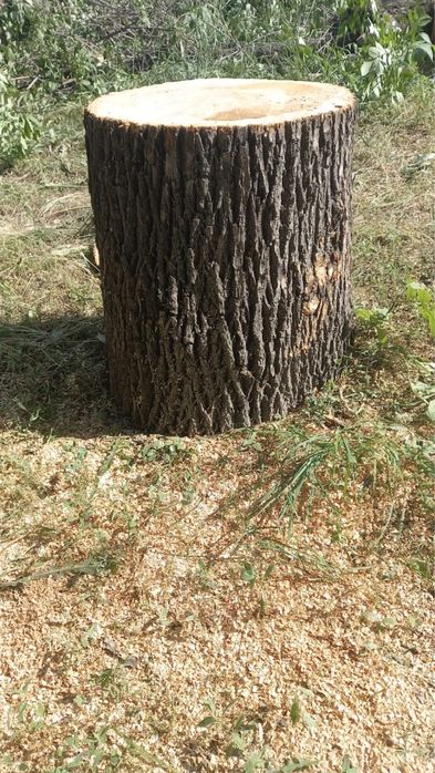 Колода пни для рубки мяса и прочего