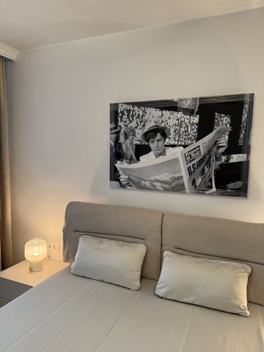 Ален Делон картина/снимка