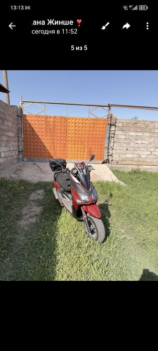 Самурай беннали 180 сс тартысы зор