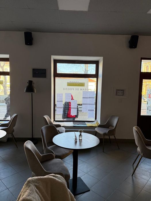 20 scaune gri comode