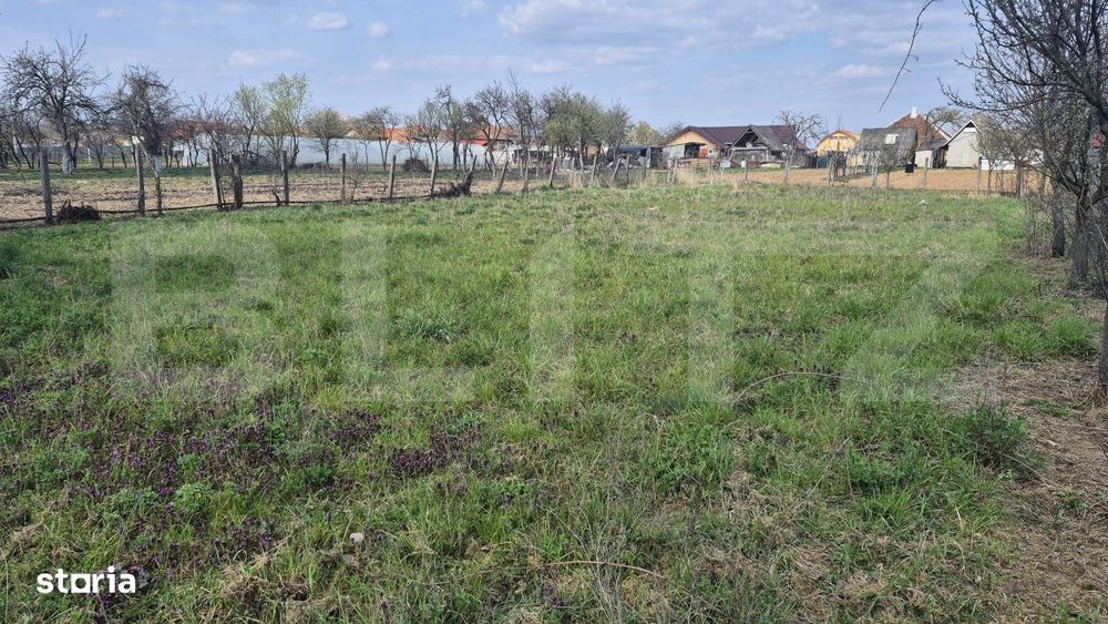 Teren intravilan de vanzare, 1399 mp, in localitatea Micula