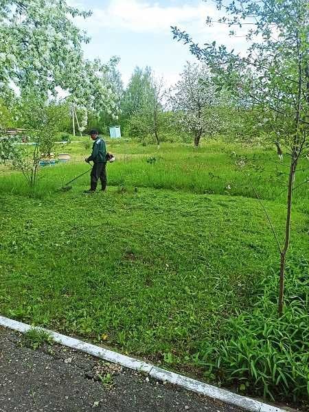 Покос травы быстро не дорого