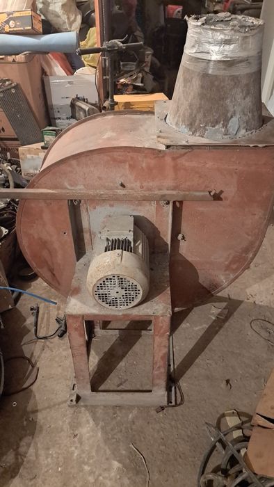 Прдам улитку вытешка