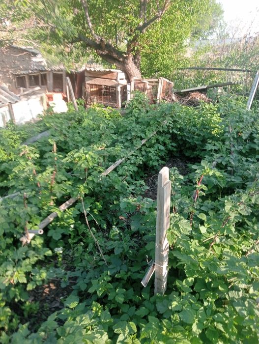 Продам дачу в П МК 52   Дом де комнаты и коридор