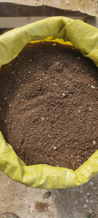 Kaliforniya BIOGUMIS Chuvalchangi, 150000 bir savati