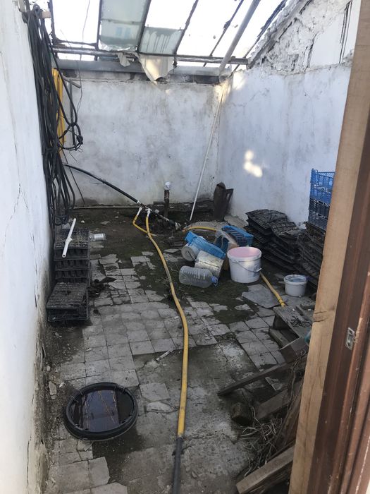 Теплица / тепличный комплекс