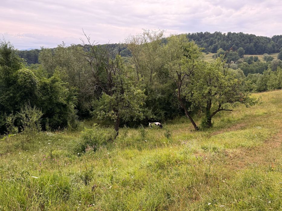 Teren intravilan in zona Valenii de Munte