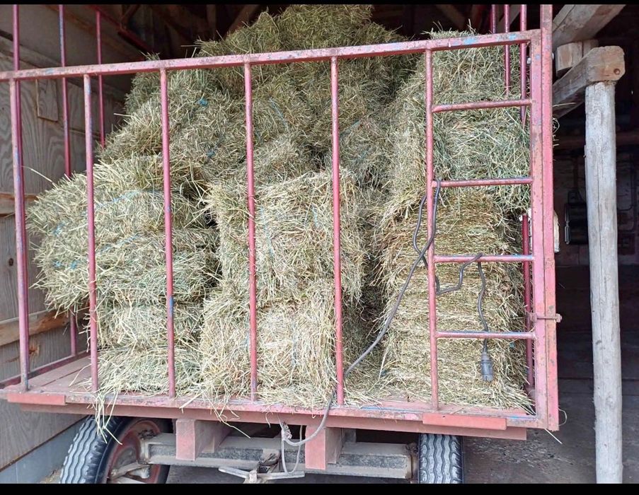 Baloți de iarbă Buzoesti Arges