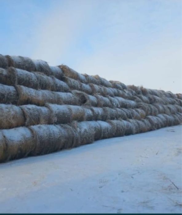 Продаётся качественное, сухое сено в тюках.