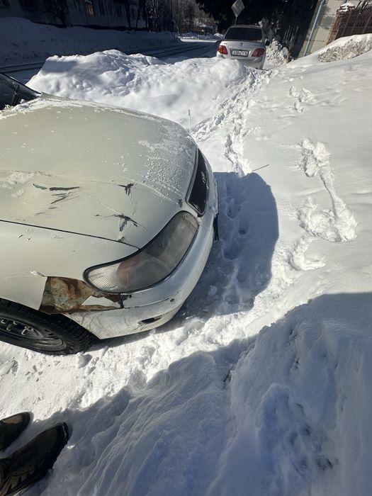 Пртдам. Таета аристо