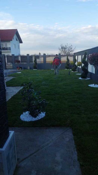 Gazon Rulou Sport și Rezidențial – Rezistență Maximă și Culoare Vibrantă