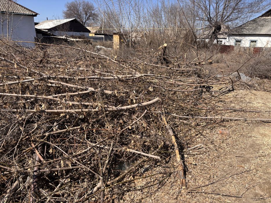 Отдам дрова бесплатно