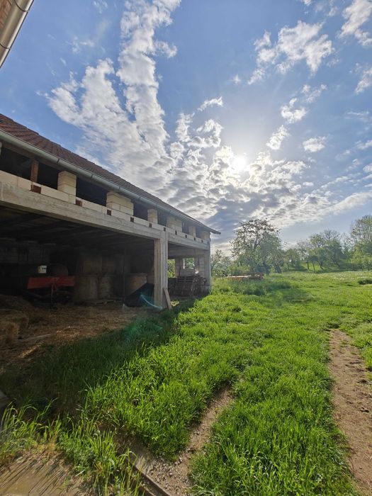 Casa Beius Finis 15 camere