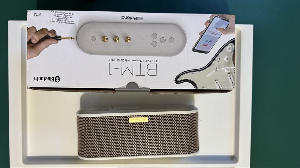 Amplificator Chitara Electrica & Boxa Bluetooth Roland BTM-1 LTD