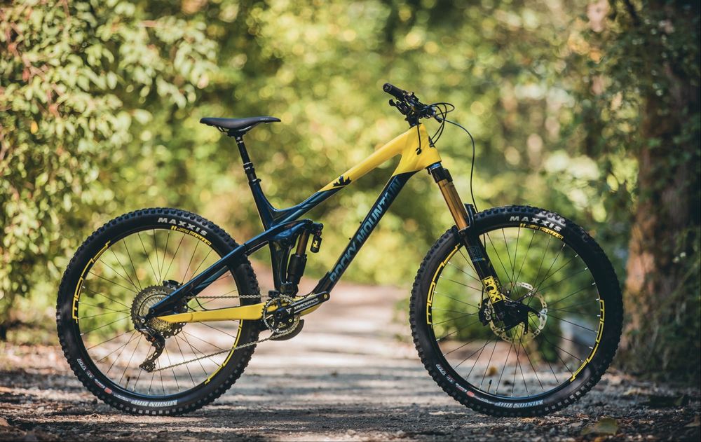 Rocky Mountain Limited Edition - Full Kashima & Carbon