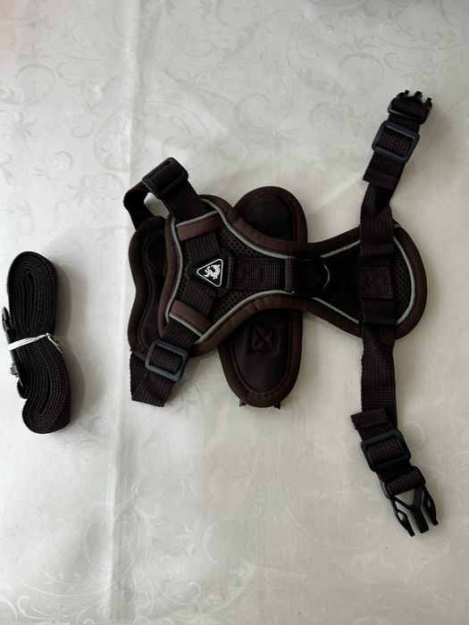 Шлейка с поводок