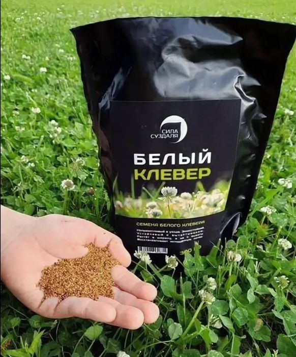 Газон егу жұмыстары Атырау