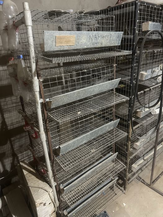 Сетка для перепелки