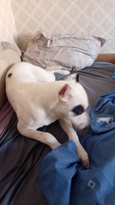 Продам чисто за символическую сумму.