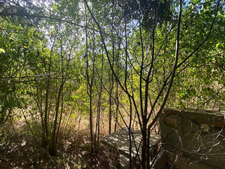 Къща с двор в село Михалци