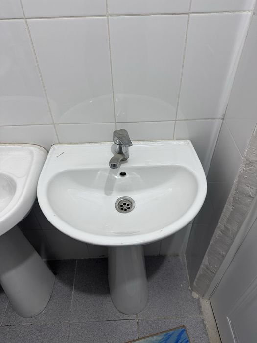 Раквина белые новые
