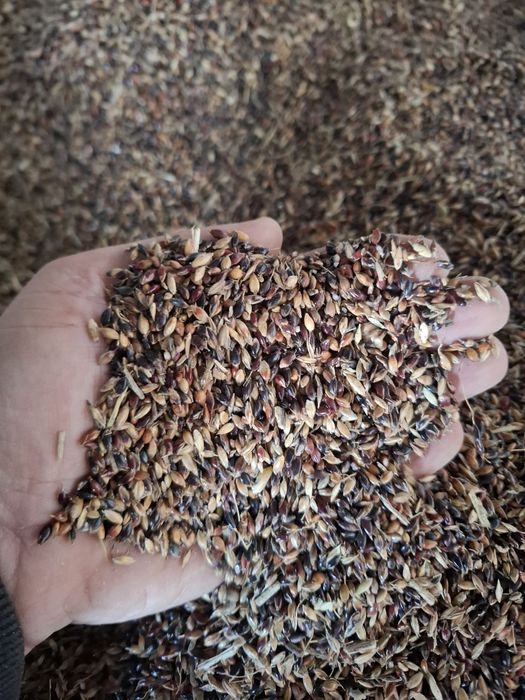 Sudan de vanzare preț bun