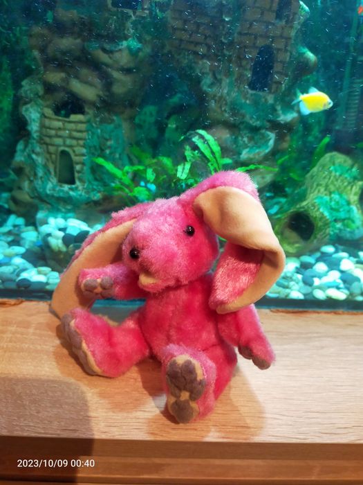 Розовая крольчиха