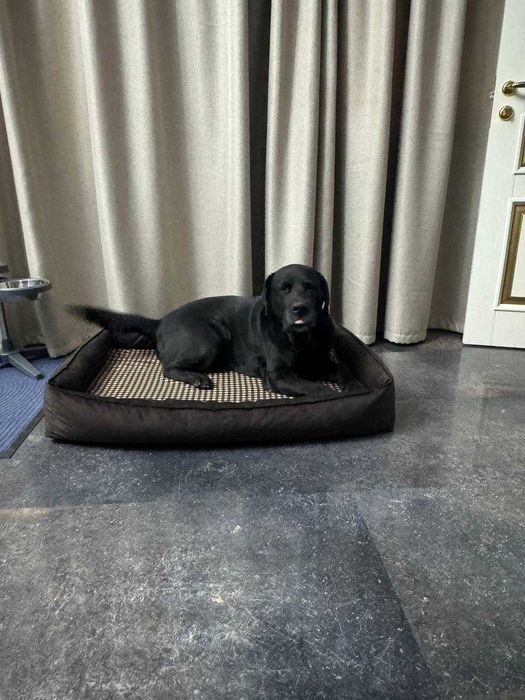 Лежанки для крупных собак  110 на 80 см .