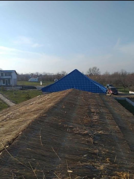 Vand stuf de anu asta