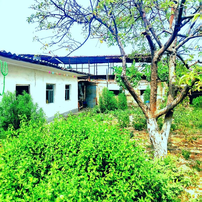 Mfy uy sotildi 8 sotix 5 xona uy a'lo darajada tel. Qilila