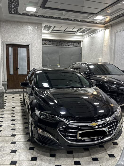 Malibu 2 Primer 2022