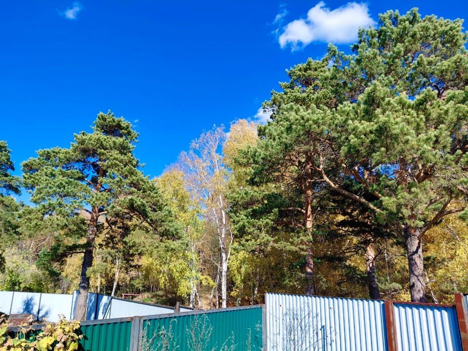 Щучинск. ул. Карагайлы