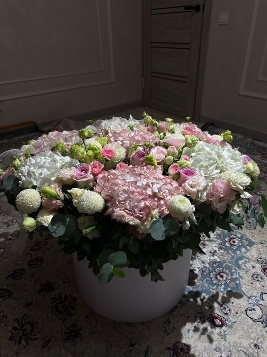 Продам цветы по низкей цене