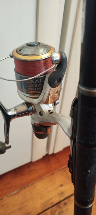 Болонезе пет метра