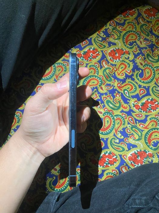 iphonee 13  pro max