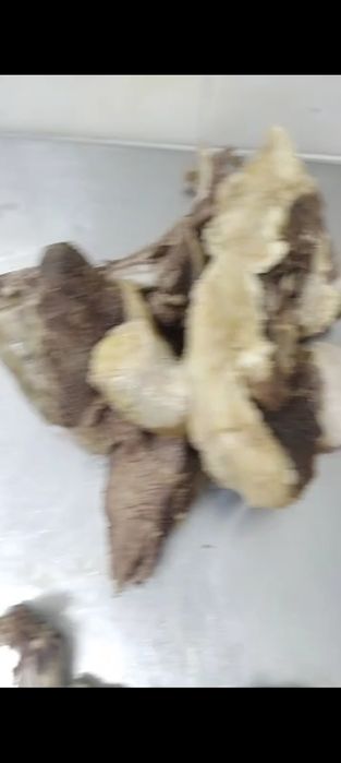 Ет жасау асу бөліктеу