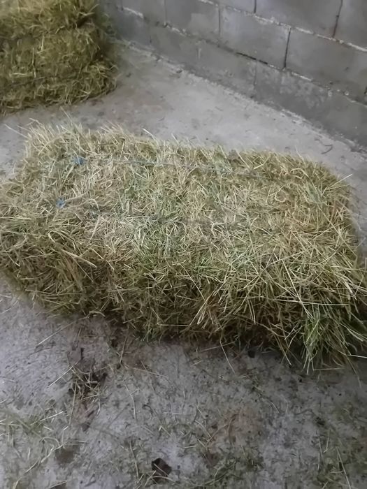 Бали сено и люцерна
