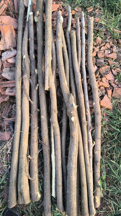 Pari pentru garduri electrice sau plante