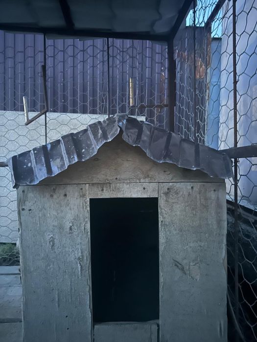 Вольер для собаки