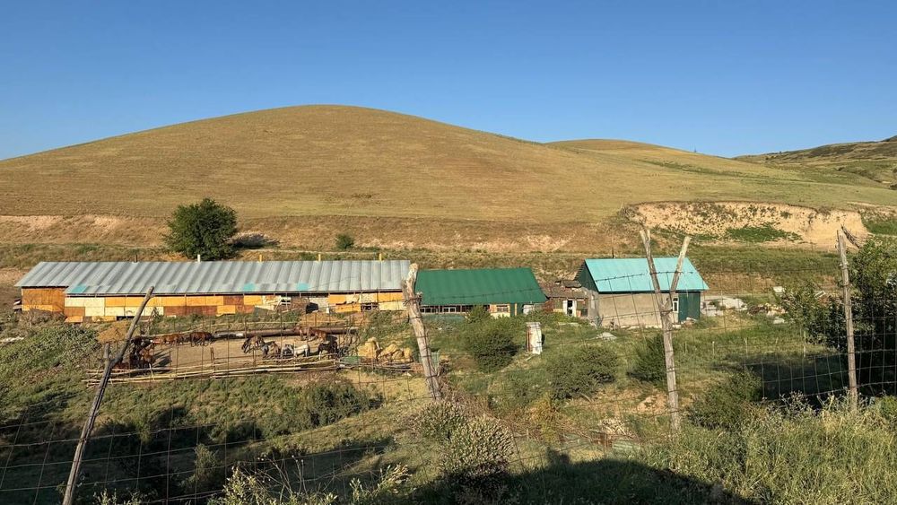 Продаётся фермерское хозяйство 11 га..