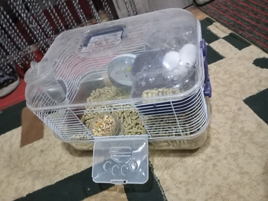 клеткой продаётся