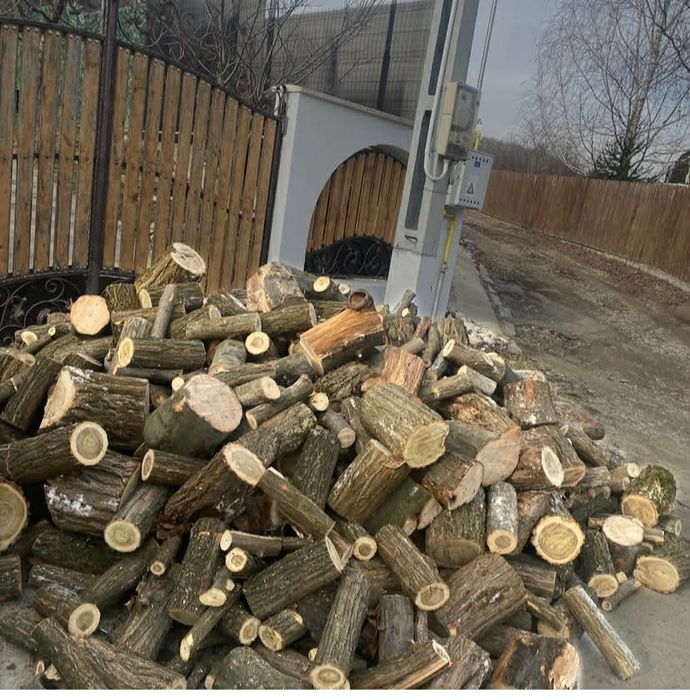 Lemne de foc esență tare